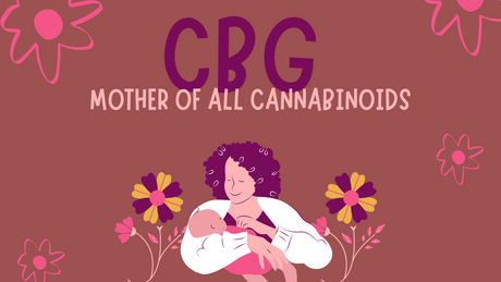 CBG: The Mother of All Cannabinoids (No, Really!)