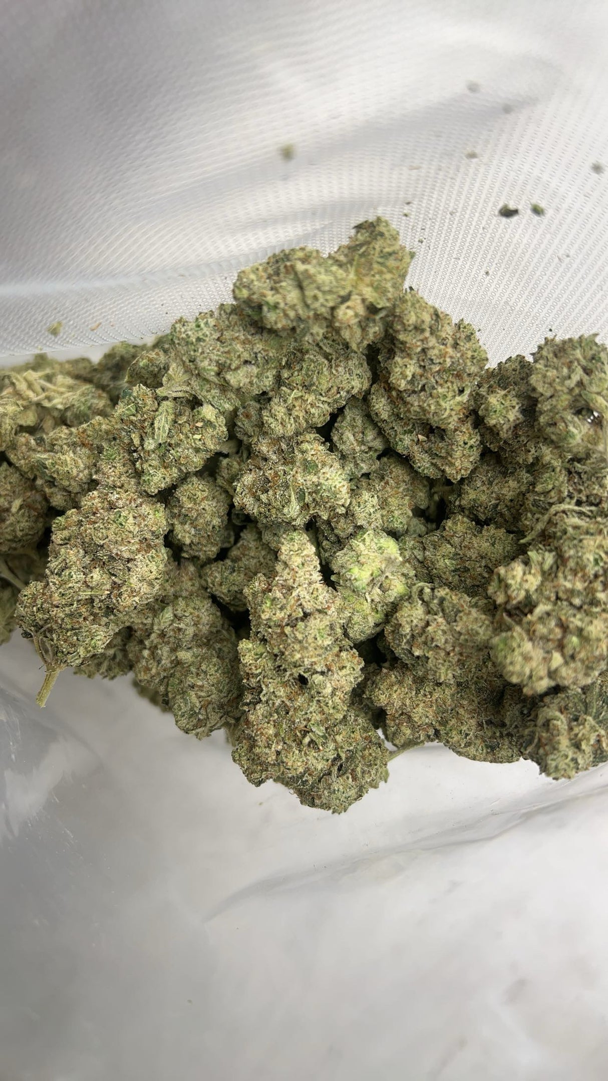 Gorilla Glue #4 THCa Private Reserve Indoor Exotic Flower