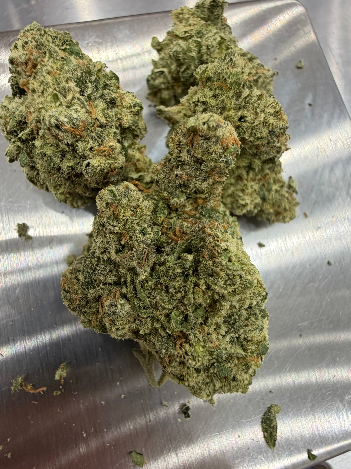 OG Kush Breath "OGKB" THCa Indoor Exotic Flower