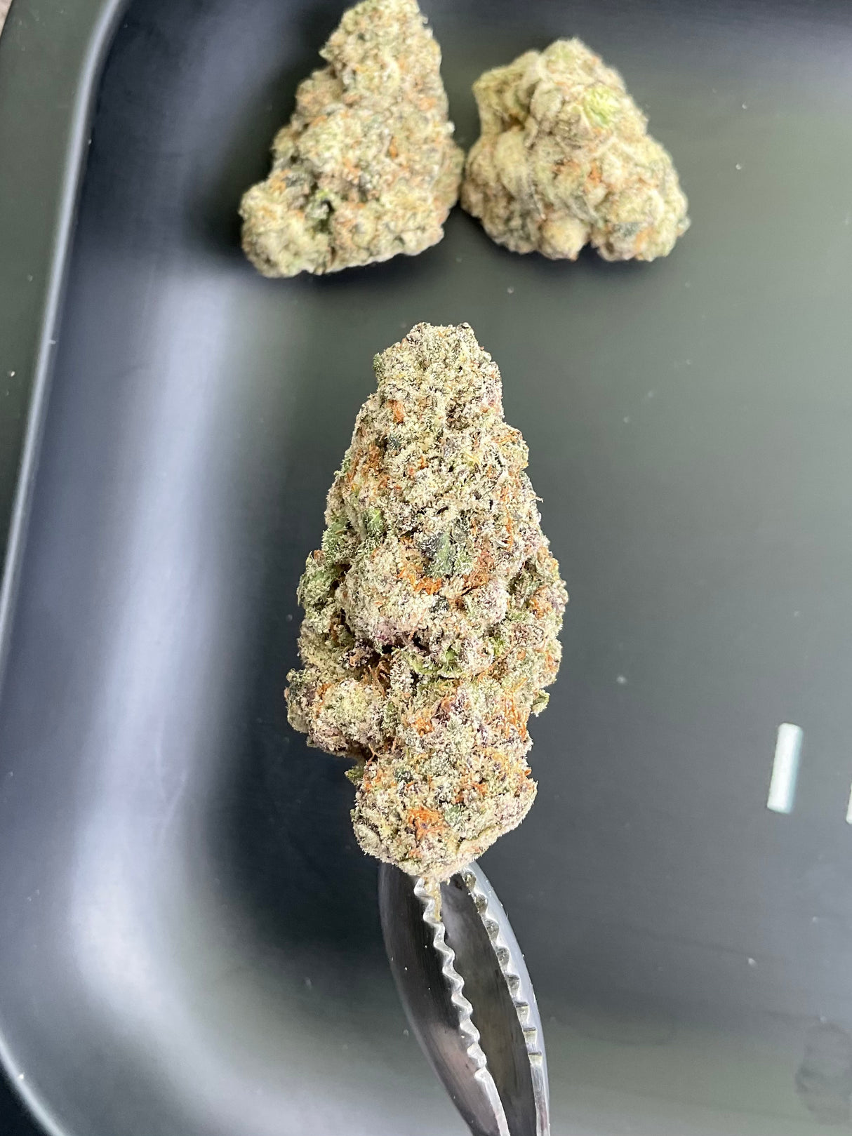 THCa Flower - GSC