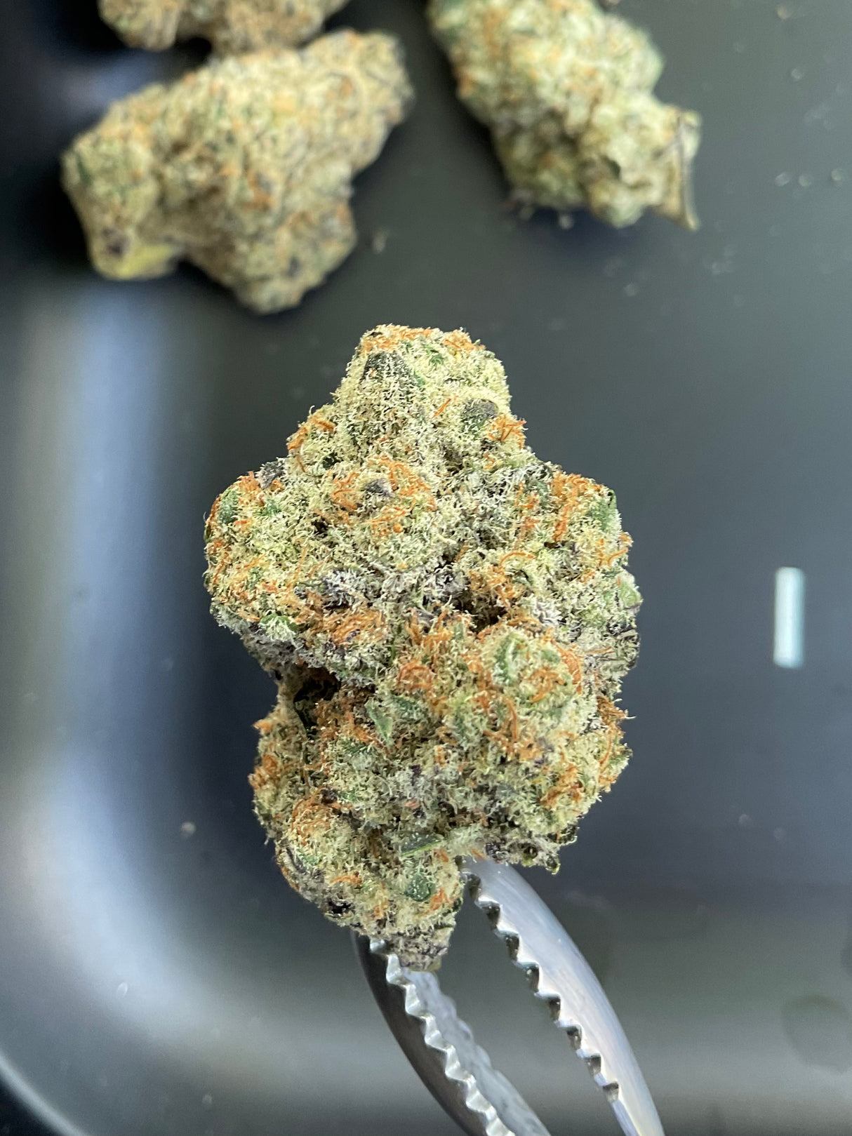 THCa Flower - Gypsy Bomb