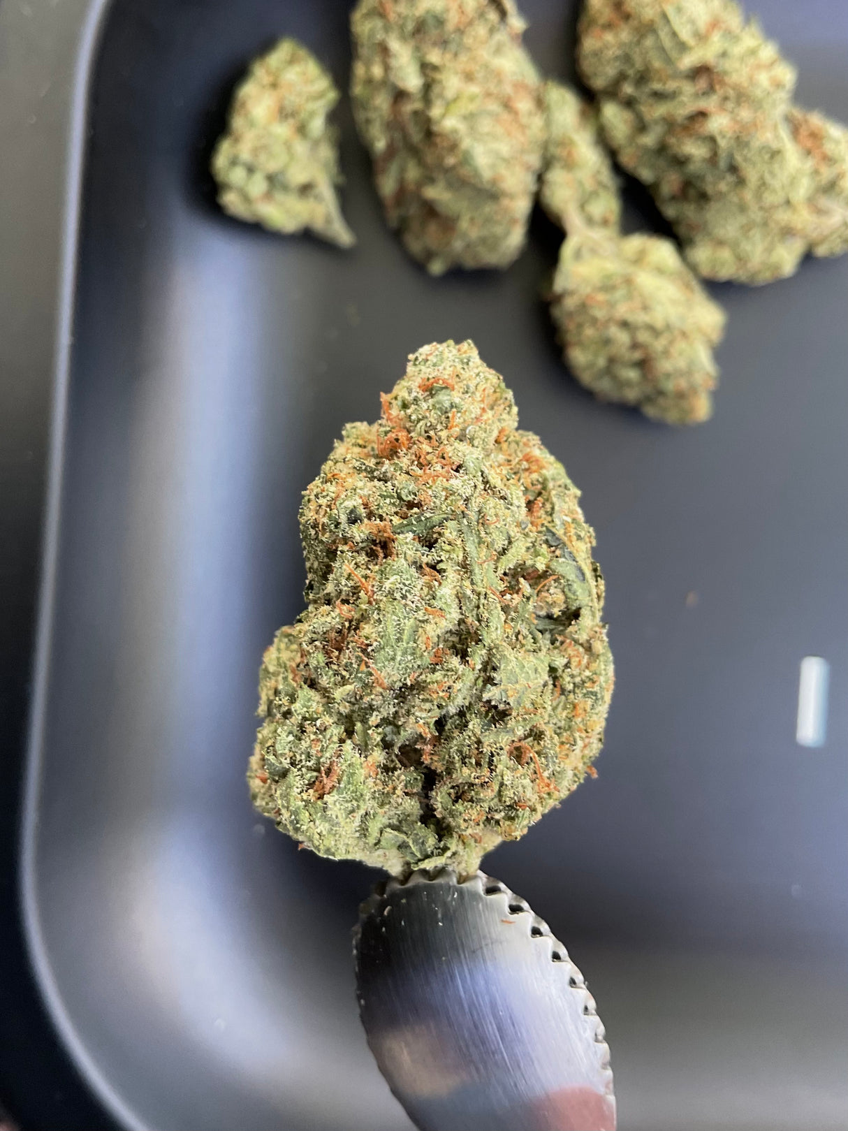THCa Flower - Jack’s Cleaner