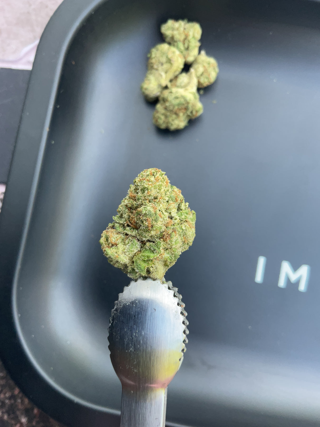THCa Flower - Sour Toad