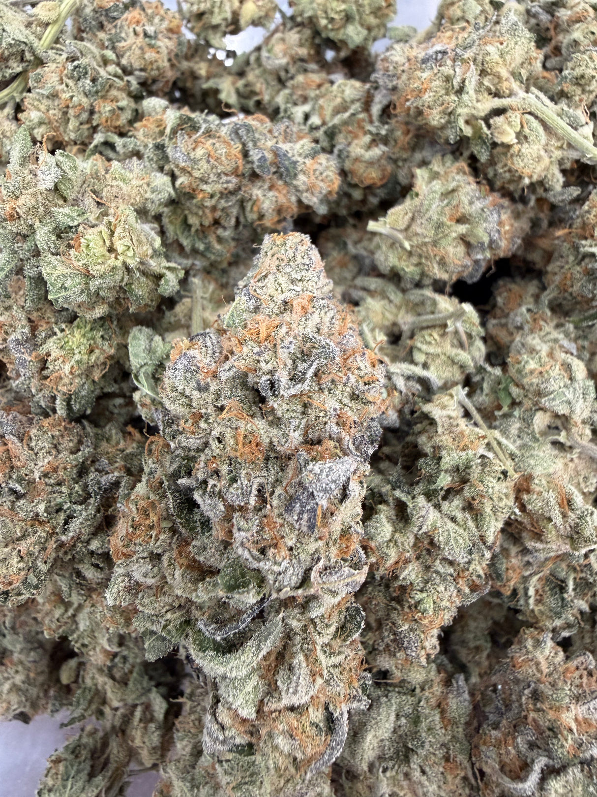 Midwest CBD Indoor Organic THCa Flower First Class Funk