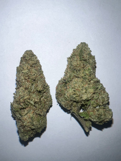 Image of the Flower Bud of the Blue Dream