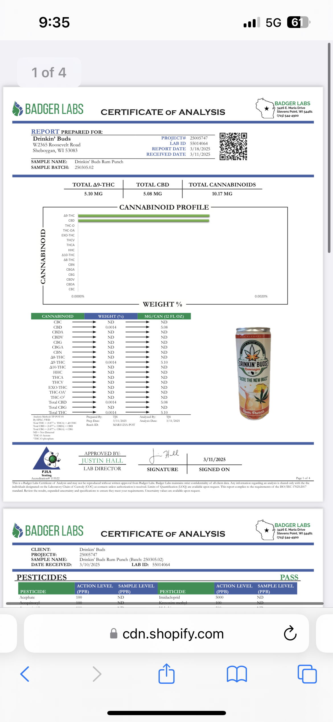 Drinkin' Buds Rum Punch 5mg Delta 9 THC Drink