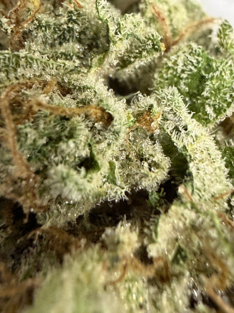 Midwest CBD Pre-98 Bubba Kush Premium Indoor Organic Soil Thca Flower