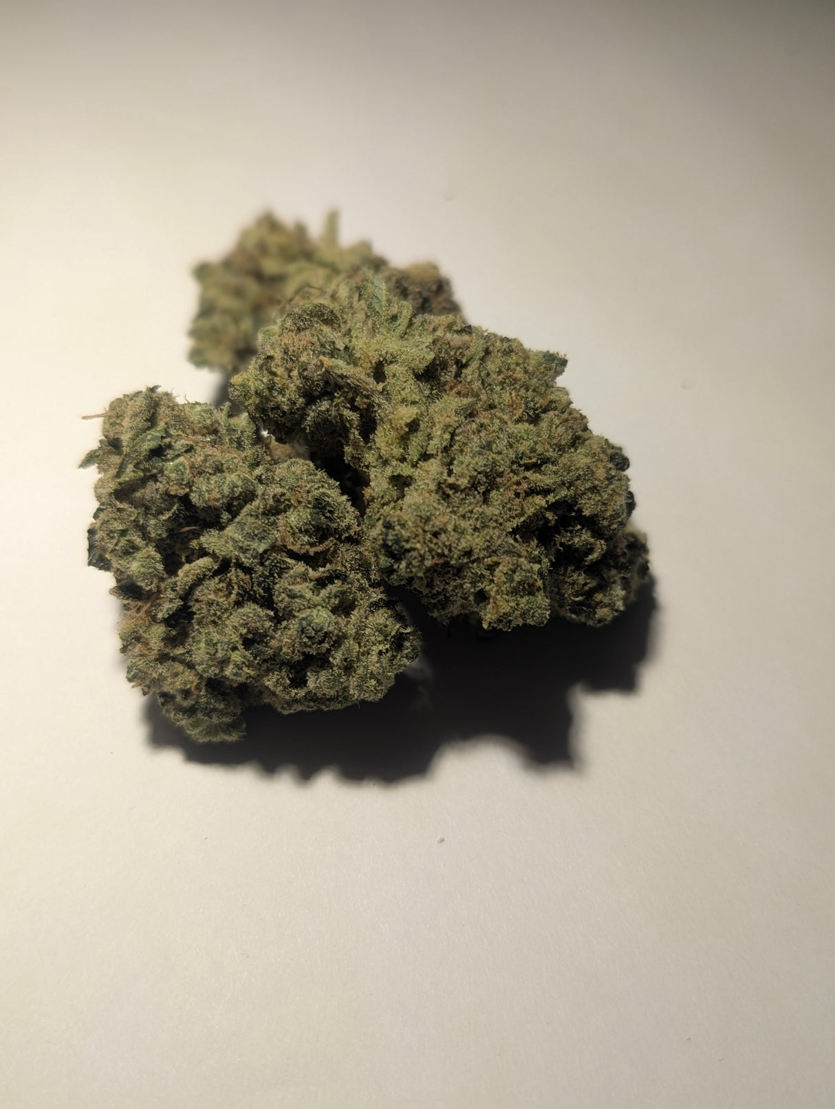 Hash Burger Exotic Indoor Premium THCa Flower