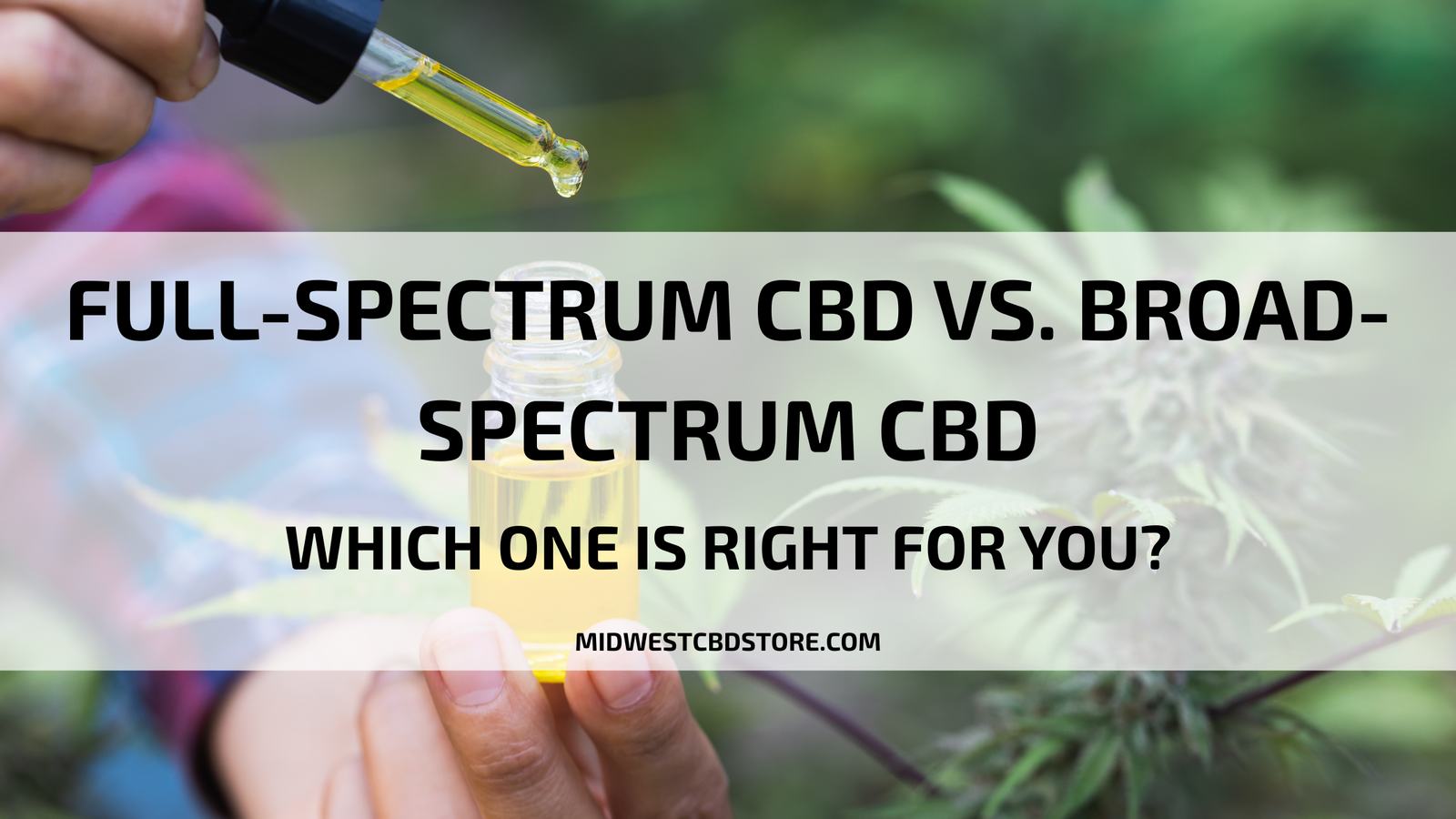Full-Spectrum CBD vs. Broad-Spectrum CBD: Which One is Right for You?