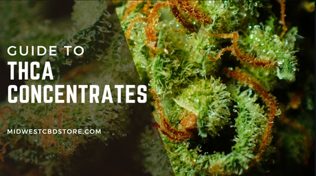 Close up image of cured THCa flower bud, "Guide to THCa Concentrates"