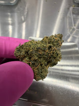 Sour Jack THCa Indoor Exotic Flower