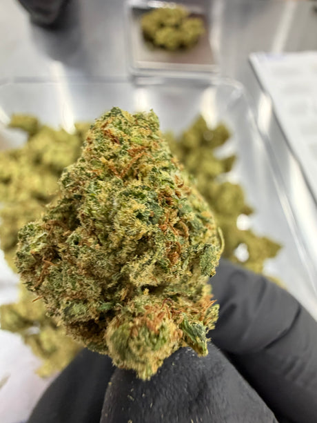 Jacks Cleaner THCa Private Reserve Indoor Exotic Flower