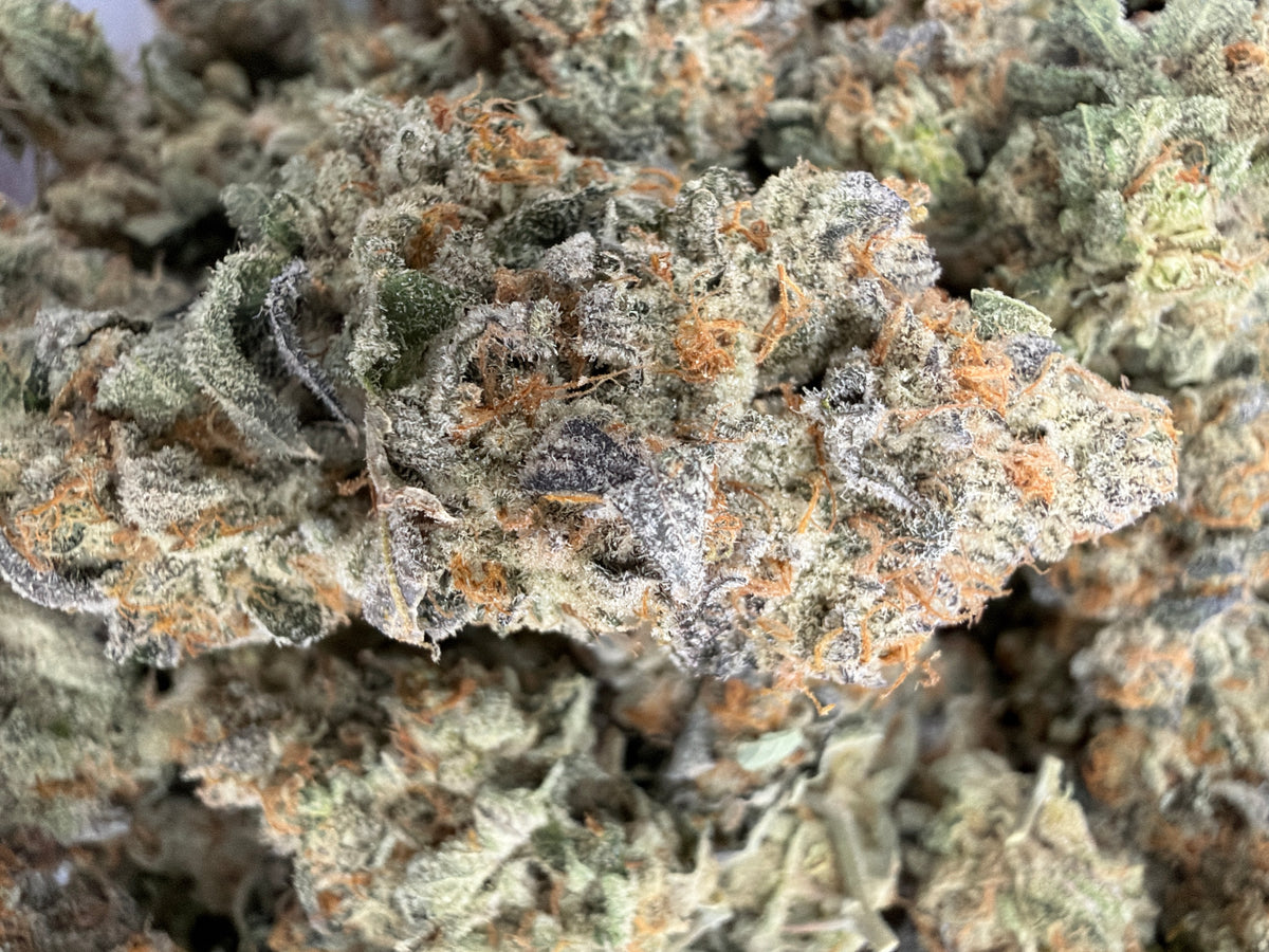 Midwest CBD Indoor Organic THCa Flower First Class Funk