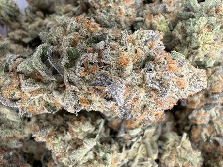 Midwest CBD Indoor Organic THCa Flower First Class Funk