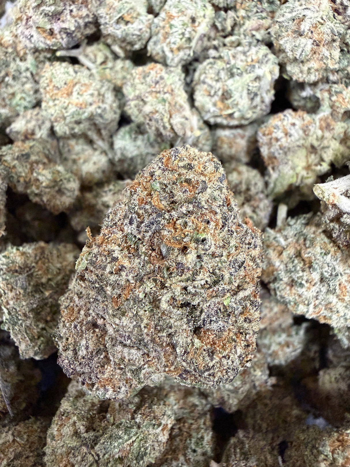 White Rhino THCa Private Reserve Indoor Exotic Flower