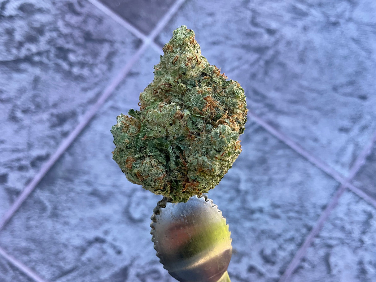 Chocolope