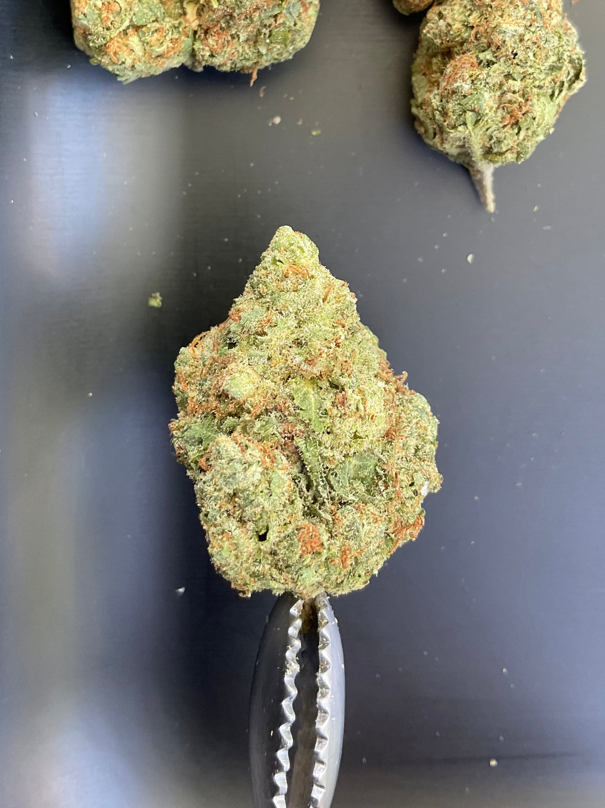 THCa Flower - Chocolope