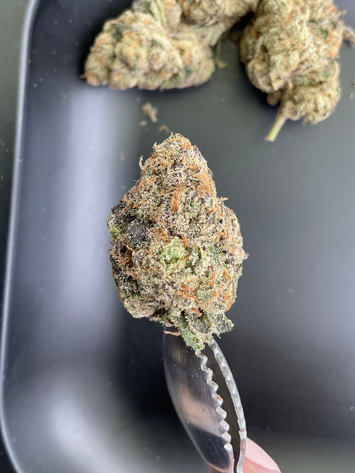 Midwest CBD Indoor Organic THCa Flower - Skywalker OG