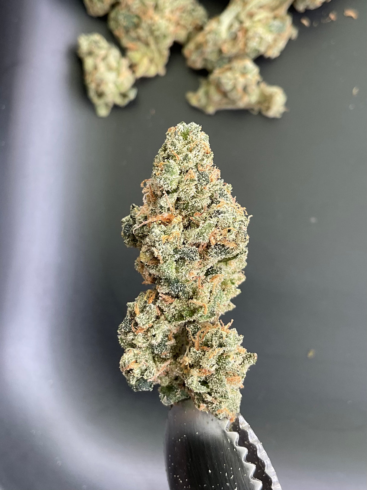 THCa Flower - Apples and Bananas