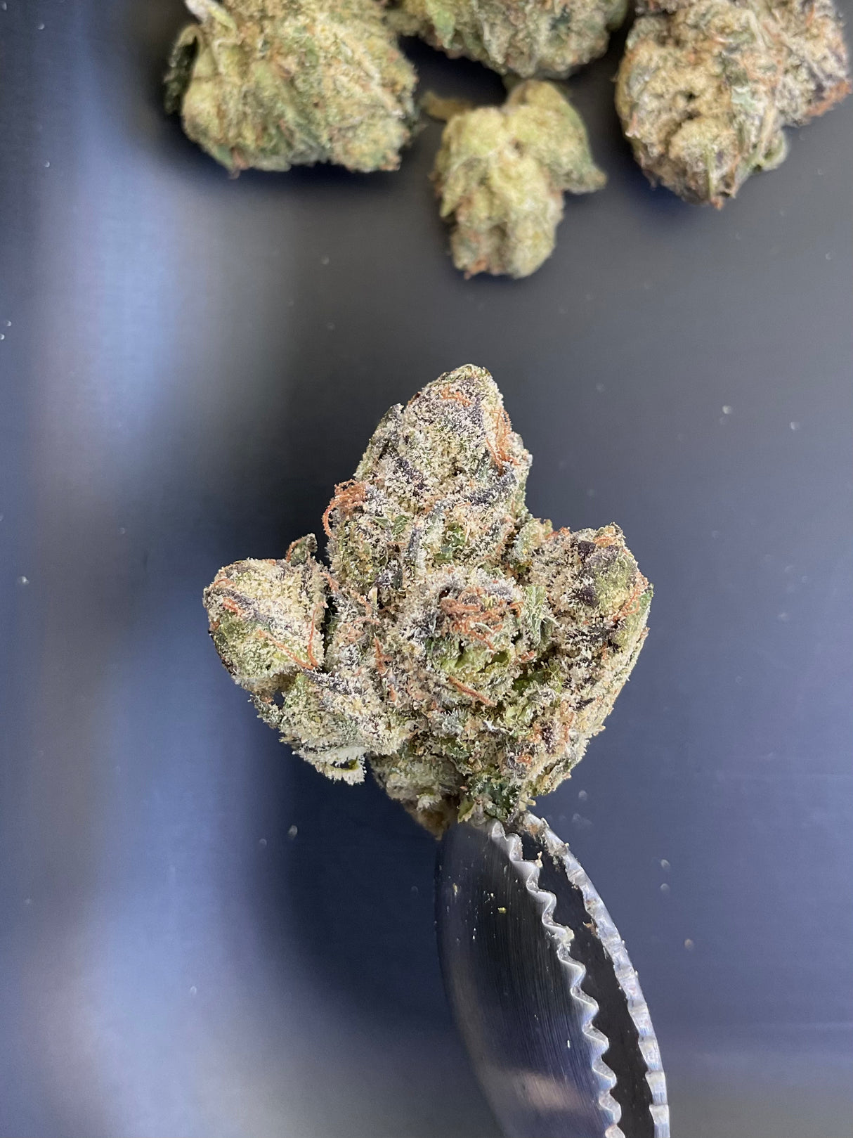 THCa Flower - Candyland