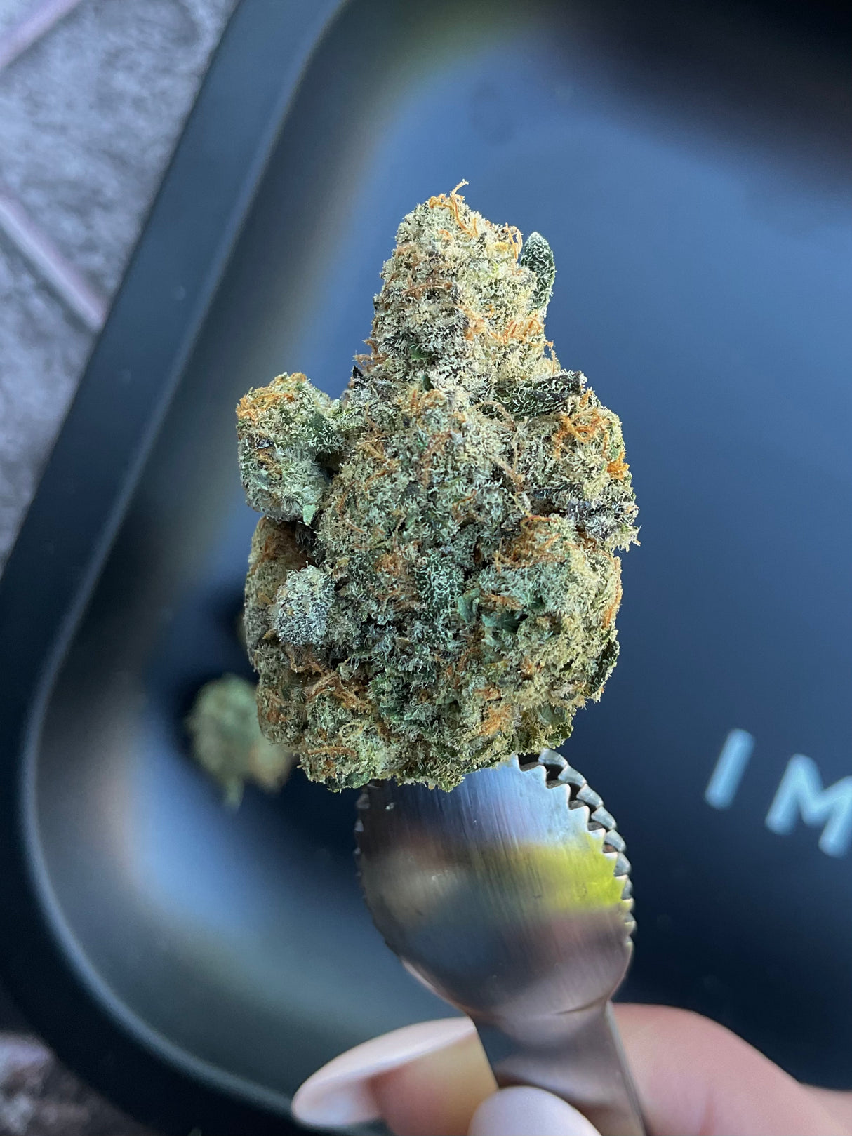 Midwest CBD Indoor Organic THCa Flower - First Class Funk