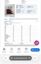 Wyld Raspberry Sativa THC 10mg Gummies | Active