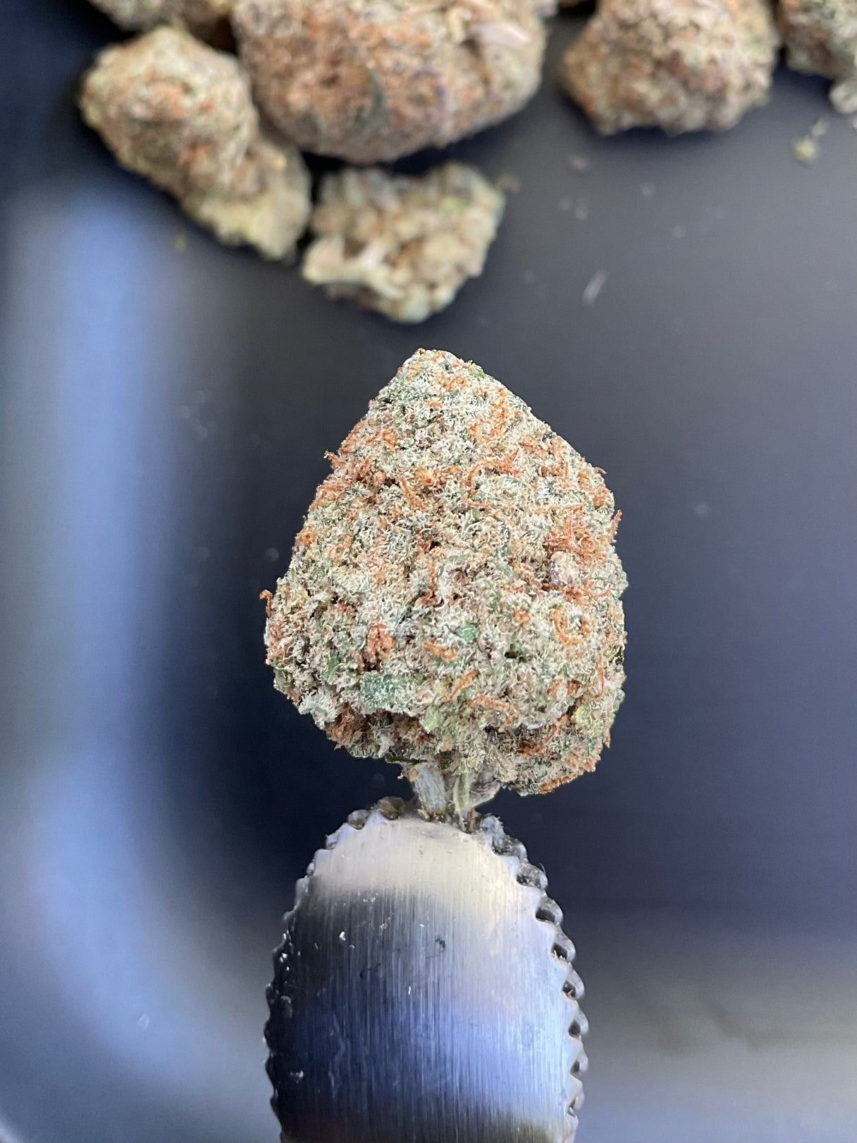 THCa Flower - White Rhino Private Reserve Indoor Exotic Flower