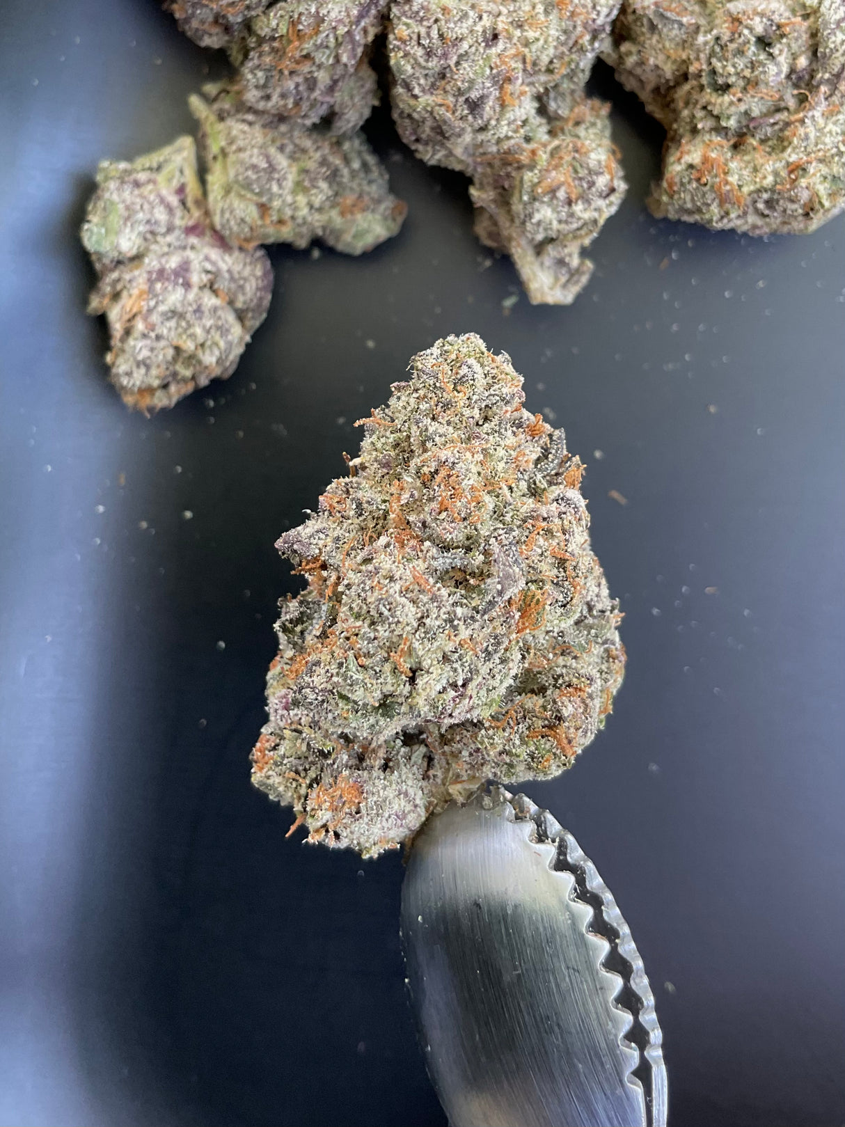 THCa Flower - Super Lemon Haze