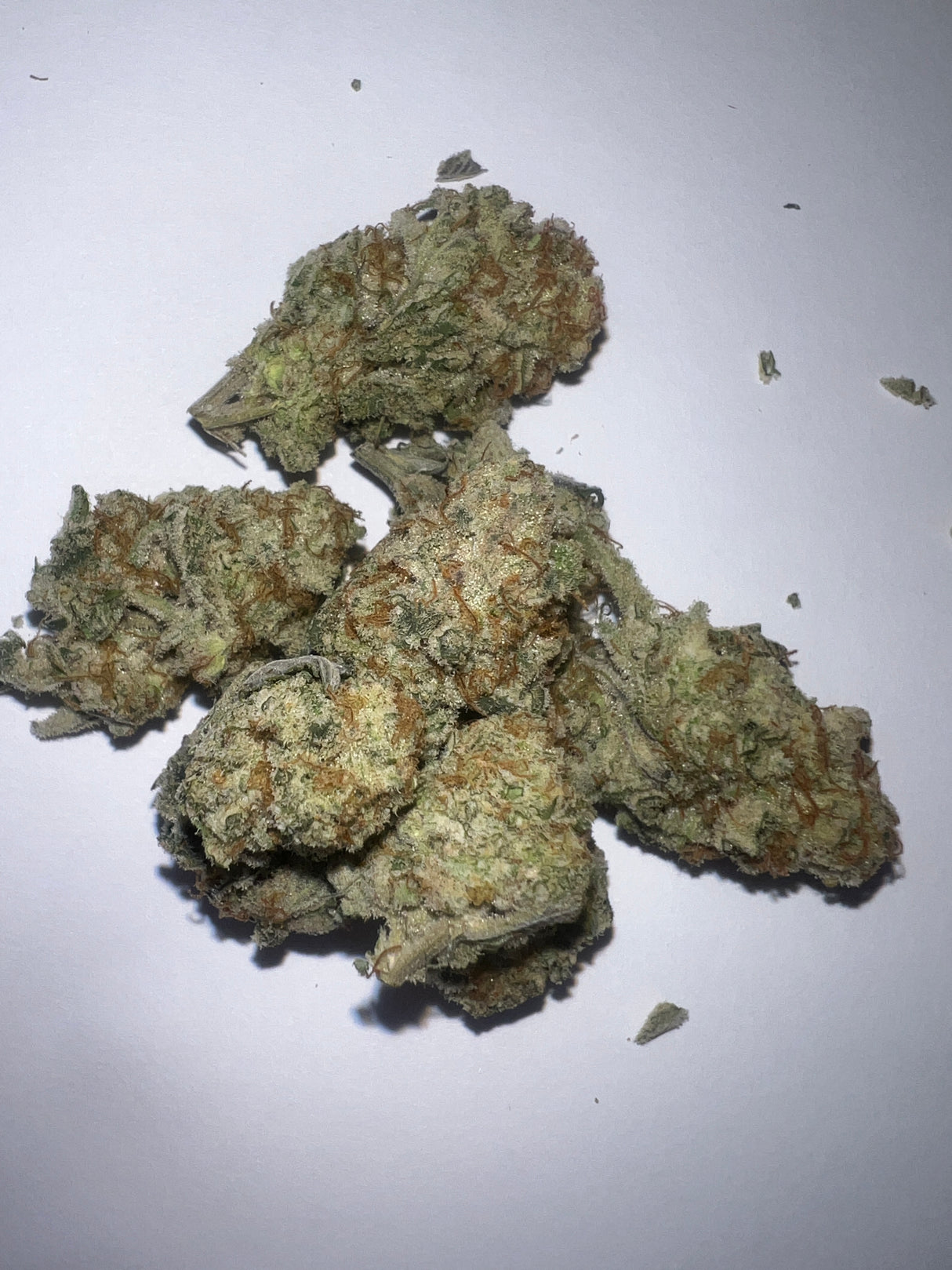 Midwest CBD Hella Sleepy Exotic Thca Flower