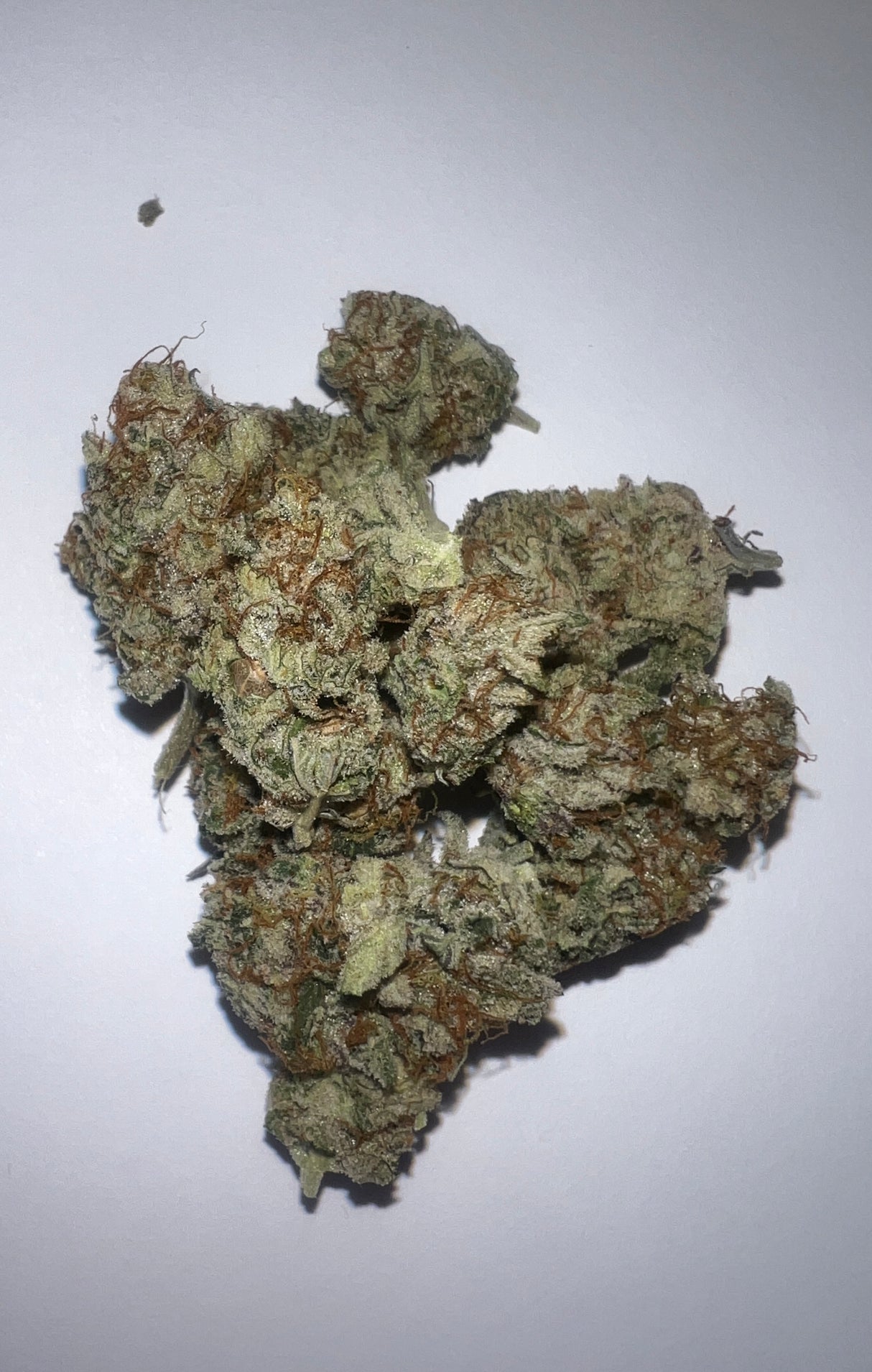Midwest CBD Hellz Candy Organic Exotic Indoor Thca Flower