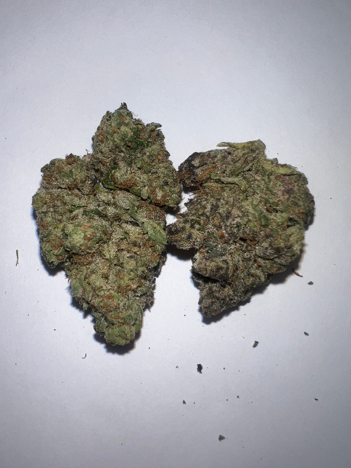 Honey Bun Cali Indoor Premium Exotic THCa Flower