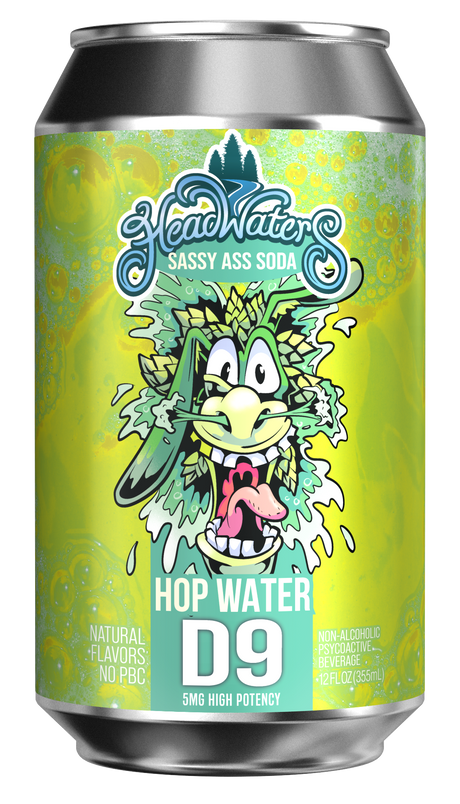 Image of Hop Water Headwaters Delta 9 THC Soda 5mg can