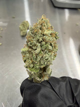 Midwest CBD Pre-98 Bubba Kush Premium Indoor Organic Soil Thca Flower