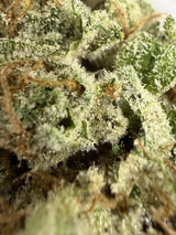 Midwest CBD Pre-98 Bubba Kush Premium Indoor Organic Soil Thca Flower