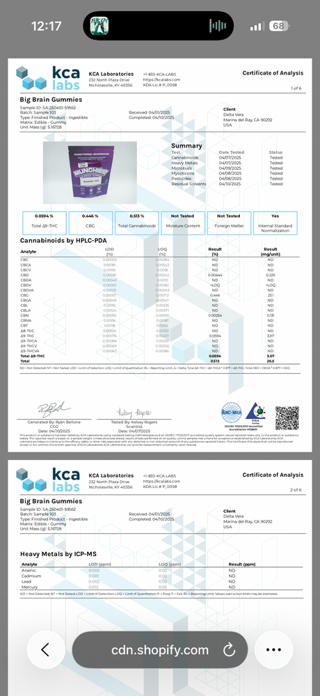 Delta Munchies Functional Microdose Big Brain Gummies