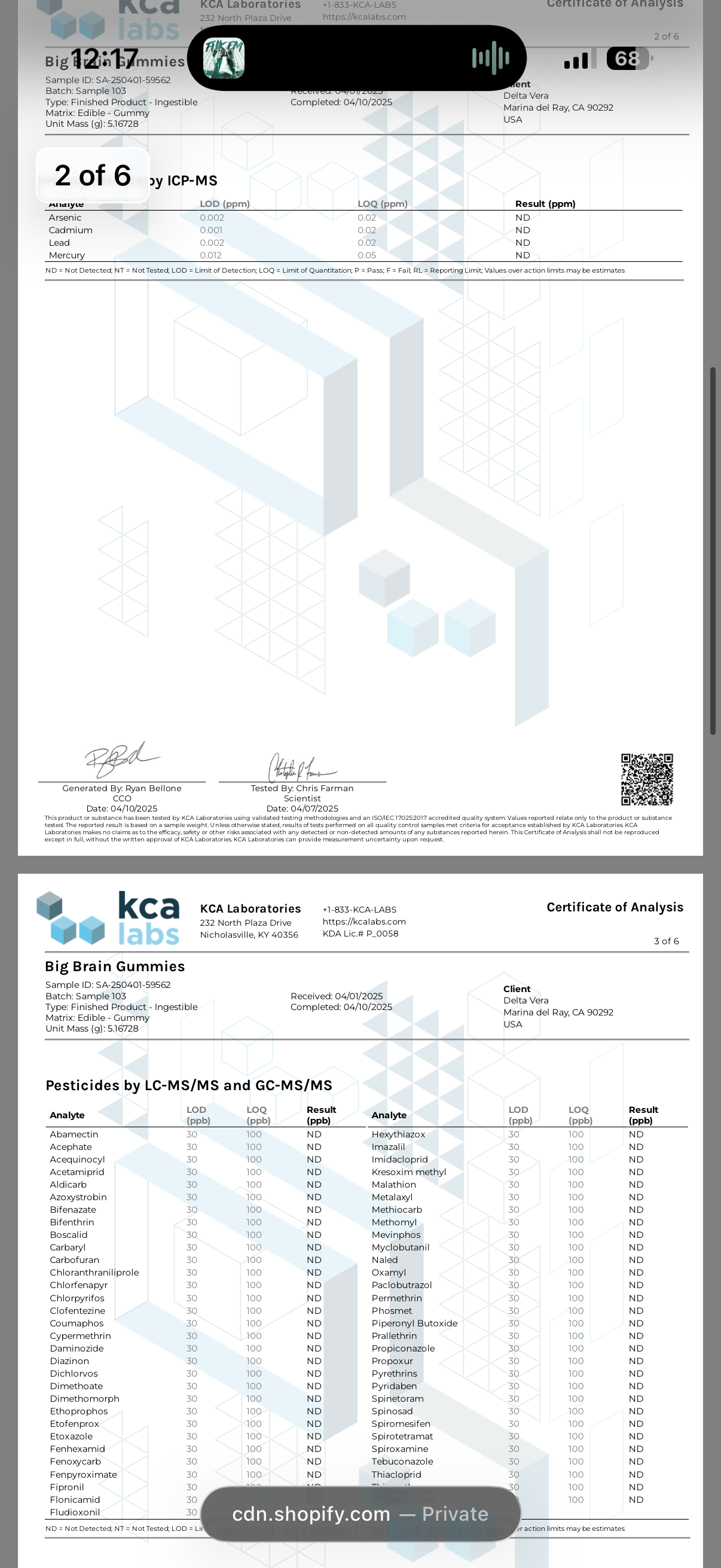 Delta Munchies Functional Microdose Big Brain Gummies