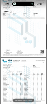 Delta Munchies Functional Microdose Big Brain Gummies