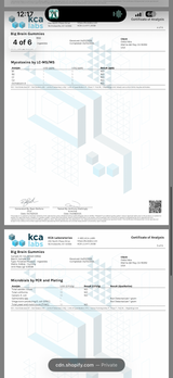 Delta Munchies Functional Microdose Big Brain Gummies