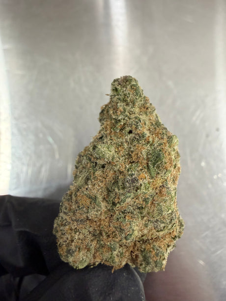 Tangerine Dream THCa Exotic Indoor Flower