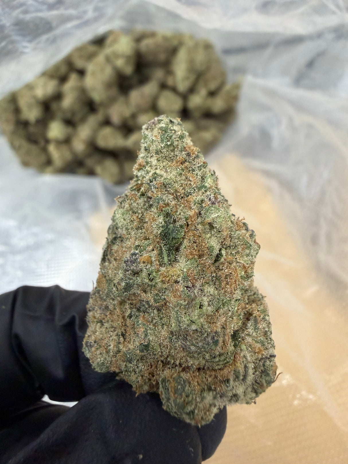 Tangerine Dream THCa Exotic Indoor Flower