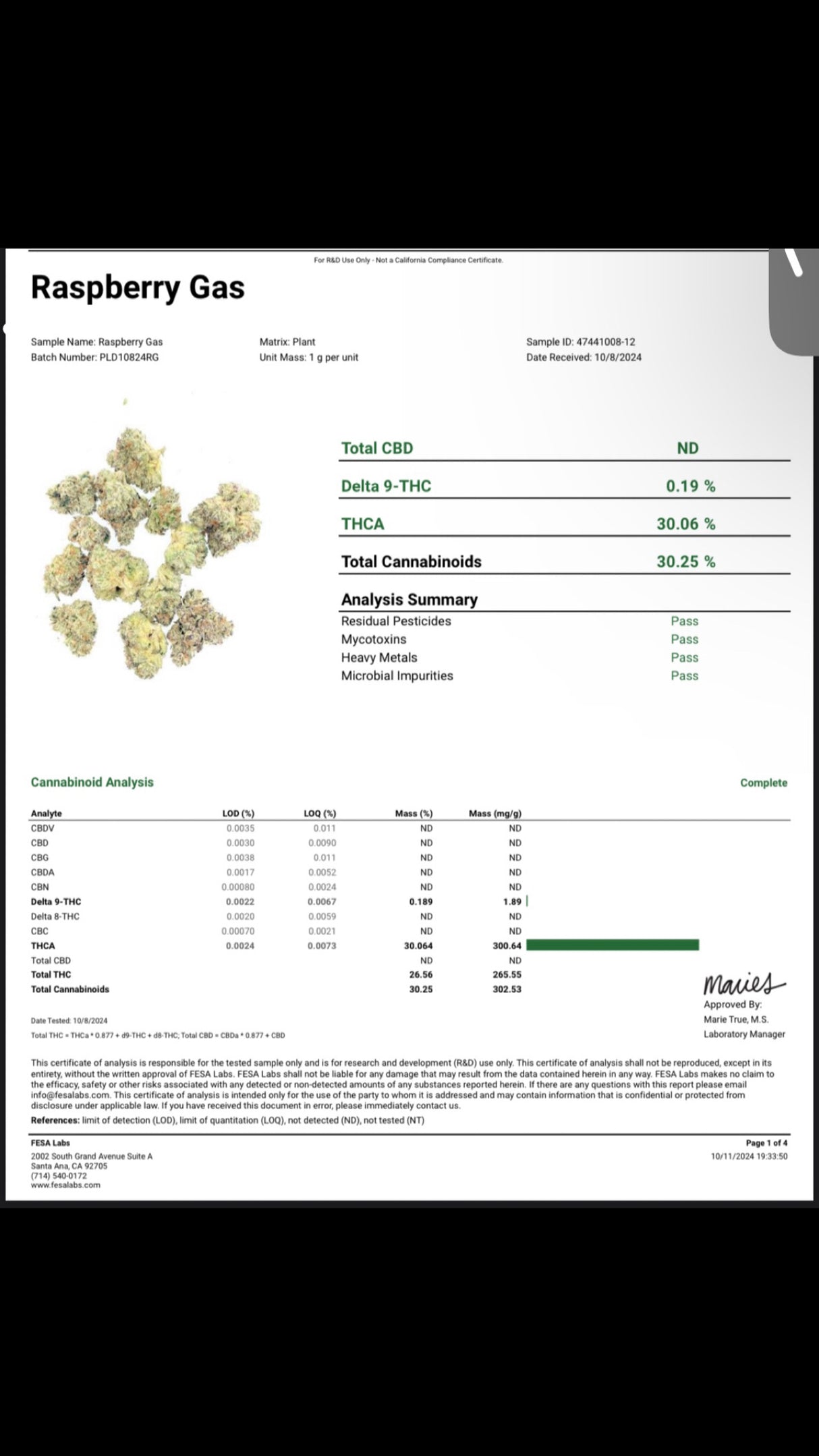 Raspberry Gas THCa Indoor Exotic Flower