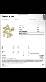 Raspberry Gas THCa Indoor Exotic Flower