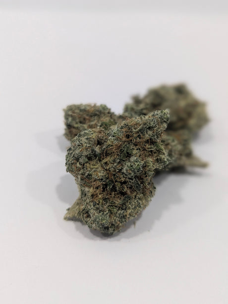 Cured THCa flower buds of the L'orange strain