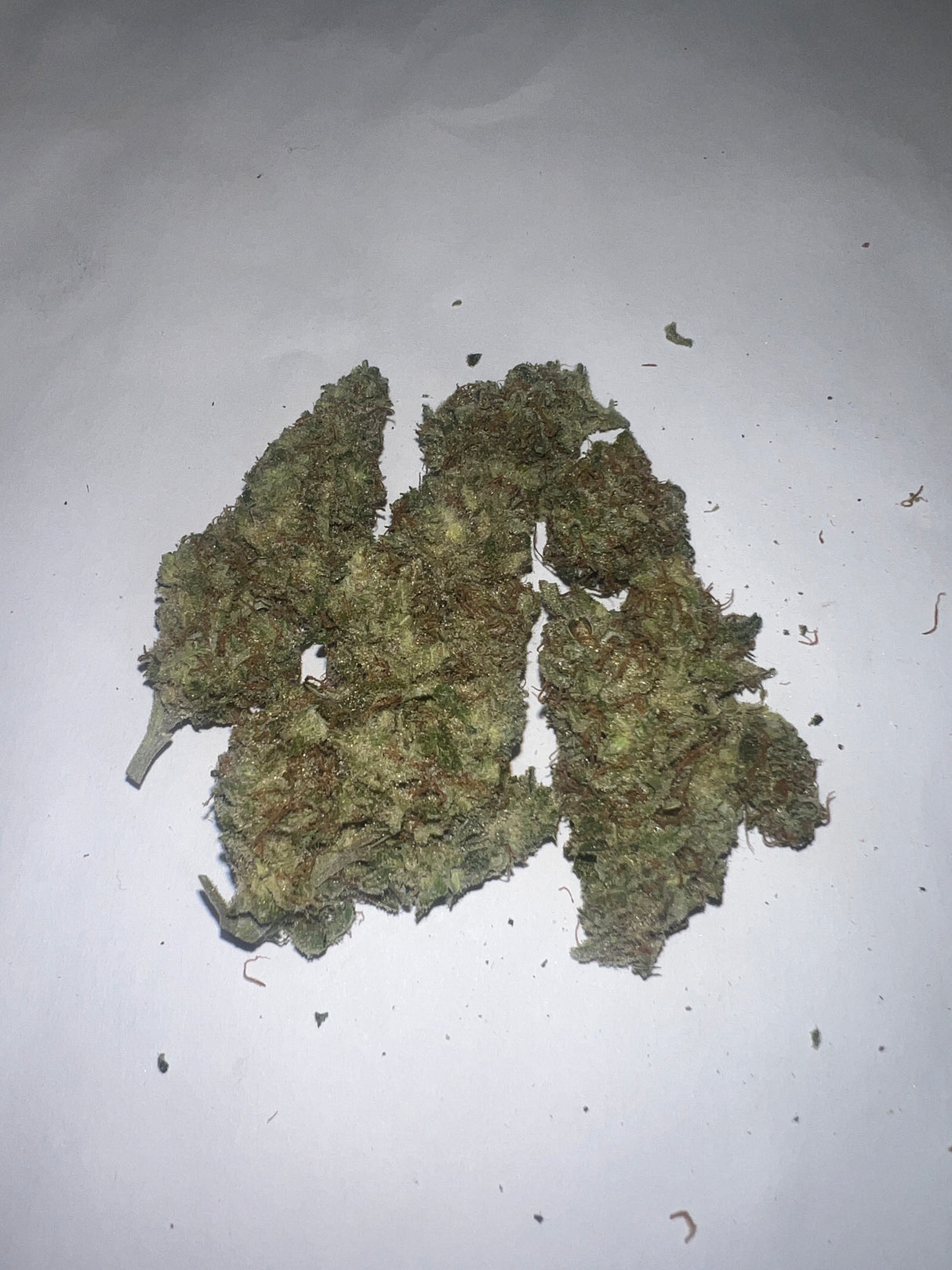 Midwest CBD Northern Haze Premium Indoor Organic Soil Thca Flower