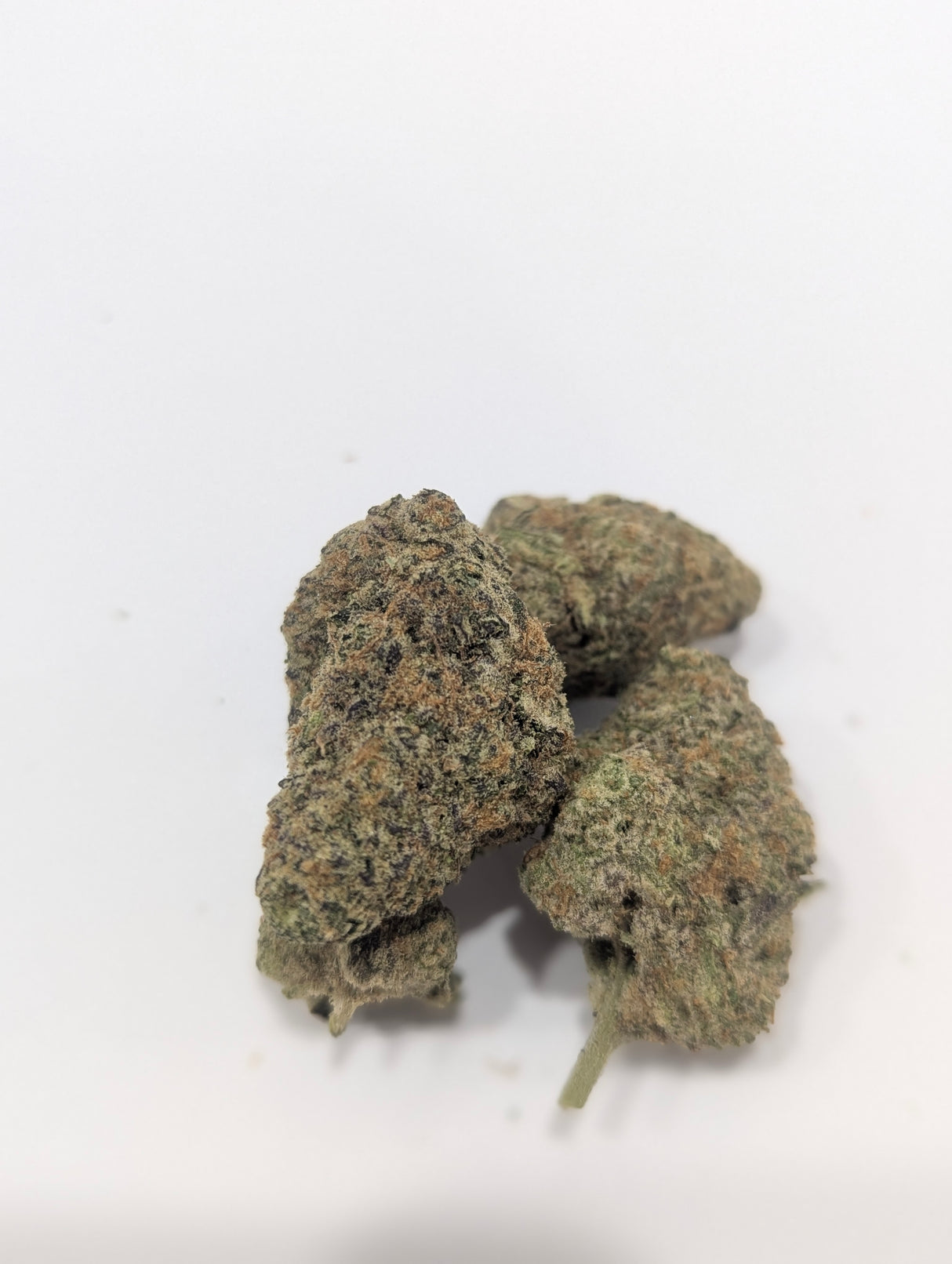 Cured buds of Midwest CBD's Raspberry Gas THCa flower
