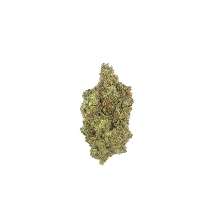 flower bud of Midwest CBD's Sour Diesel THCa Flower