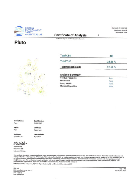 Pluto THCa Flower